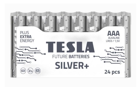 BATERIA ALKALICZNA TESLA SILVER+ LR03 F24 1.5V 10 SZTUK TESLA BATTERIES a.s.