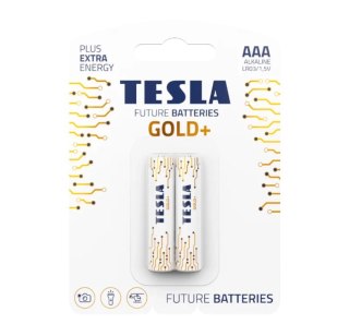 BATERIE ALKALICZNE AAA TESLA GOLD+ LR03 2 SZTUKI TESLA BATTERIES a.s.