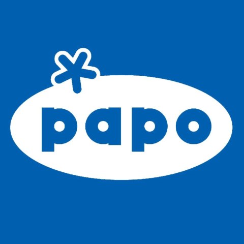 Figurka kolekcjonerska Biedronka, Papo Sas Papo La Maison Des Figurines