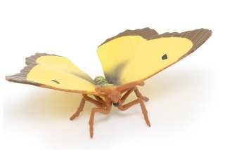 Figurka kolekcjonerska Motyl Szlaczkoń sylwetnik, Papo Sas Papo La Maison Des Figurines