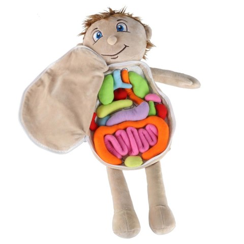 Lalka maskotka zabawka edukacyjna nauka anatomii chłopiec Kik Sp. z o. o. Sp. k.