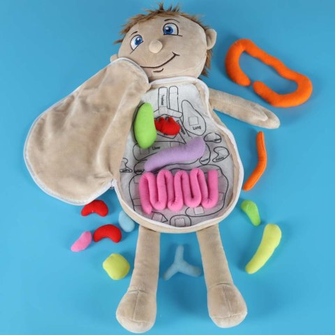 Lalka maskotka zabawka edukacyjna nauka anatomii chłopiec Kik Sp. z o. o. Sp. k.