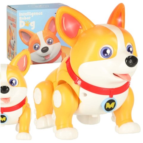 Pies piesek interaktywny robot Corgi świecące uszy muzyka Kik Sp. z o. o. Sp. k.
